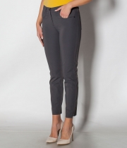 Клин сив бистреч