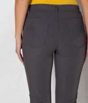 Клин сив бистреч